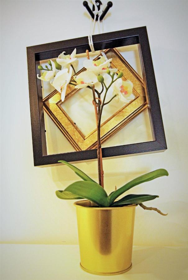 Apartamento Vintage At Madragoa Typical Neighborhood *